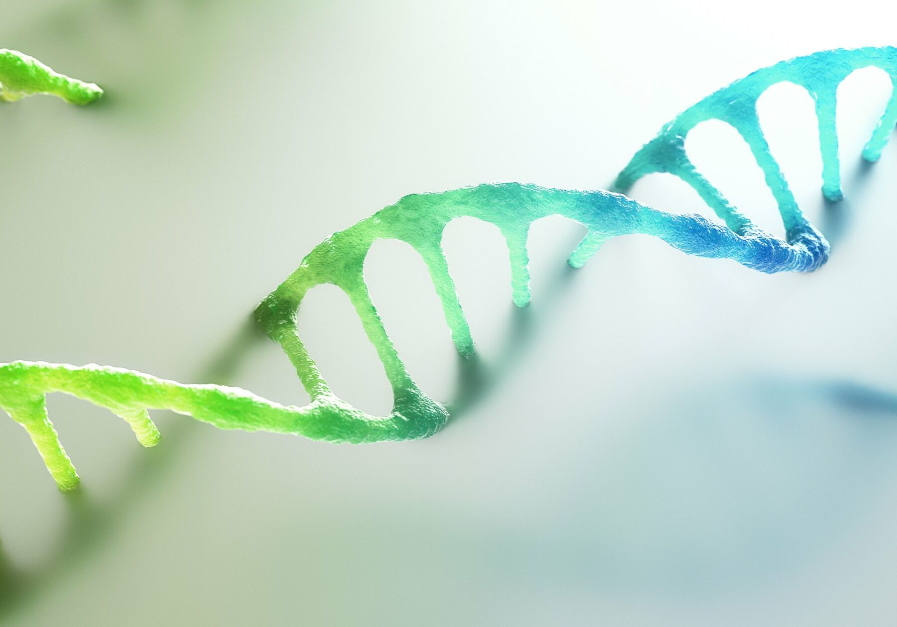 rna-strands-2